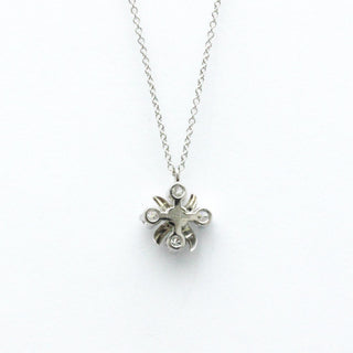 Tiffany & Co - Tiffany & Co