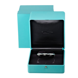 Tiffany & Co Atlas X
