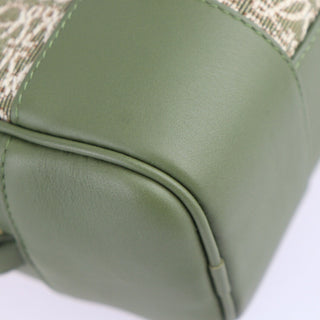 Loewe Amazona