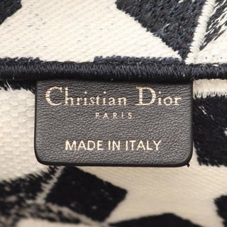 Dior Book Tote