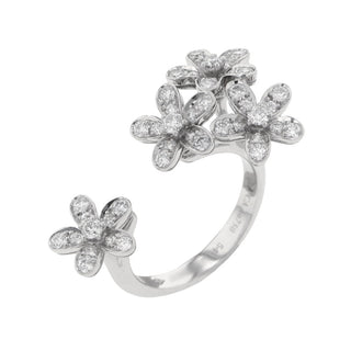 Van Cleef & Arpels - Socrates - Van Cleef & Arpels Socrates