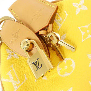Louis Vuitton - Speedy - Louis Vuitton Speedy