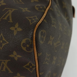 Louis Vuitton Speedy Handbag Monogram Canvas