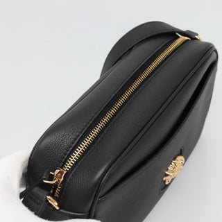 Versace - Medusa - Versace Medusa