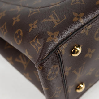 Louis Vuitton Flower