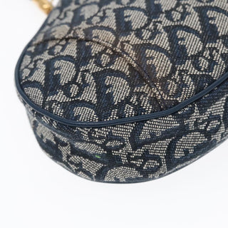 Dior Saddle