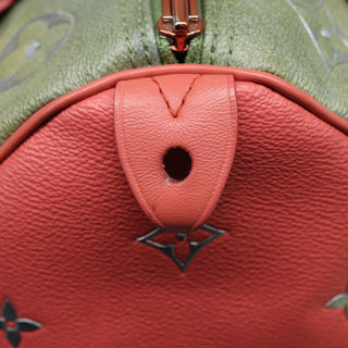 Louis Vuitton - Speedy 30 - Louis Vuitton Speedy 30
