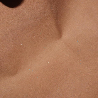 Louis Vuitton Speedy Handbag Monogram Canvas