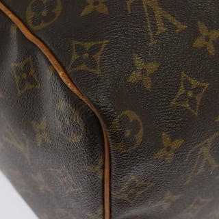 Louis Vuitton Speedy Handbag Monogram Canvas