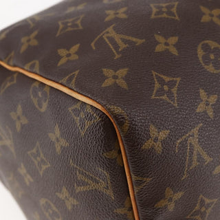 Louis Vuitton Speedy Handbag Monogram Canvas