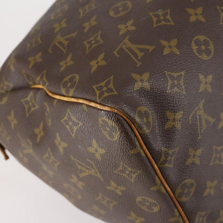 Louis Vuitton Speedy Mini HL Handbag Monogram Canvas