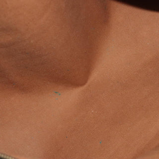 Louis Vuitton Speedy Bandouliere Bag Monogram Canvas