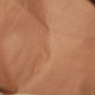 Louis Vuitton Speedy Handbag Monogram Canvas