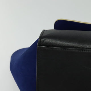 Celine Trapeze Bag Leather with Suede