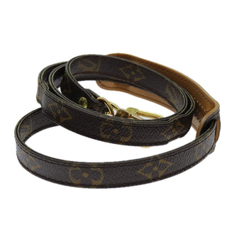 Louis Vuitton Bandouliere Monogram Canvas and Leather