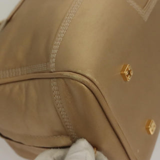 Loewe Amazona Bag Leather