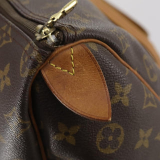Louis Vuitton Flanerie Handbag Monogram Canvas
