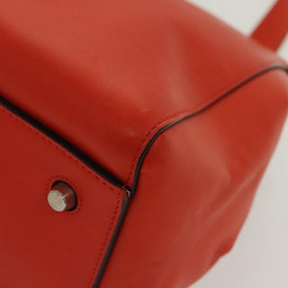 Celine Edge Bag Leather