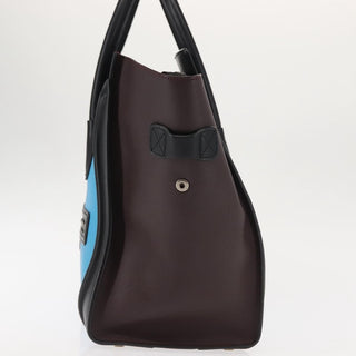 Celine Tricolor Luggage Bag Leather