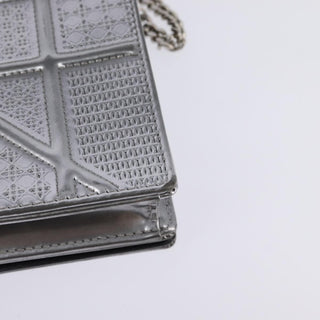 Christian Dior Diorama Wallet on Chain Metallic Distressed Calfskin