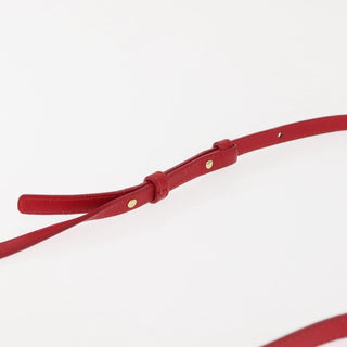 Celine Trio Crossbody Bag Leather