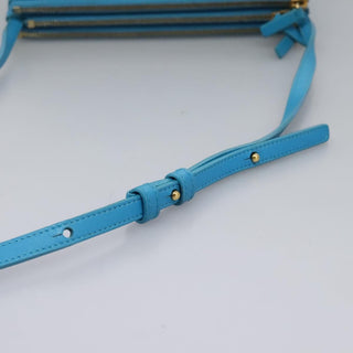 Celine Trio Crossbody Bag Leather