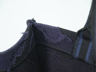 Christian Dior Book Tote Embroidered Canvas