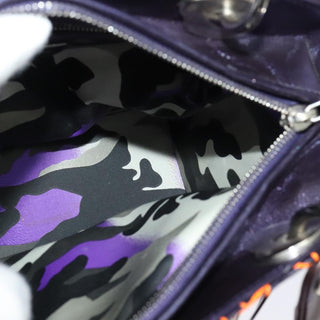 Christian Dior Lady Dior Bag Anselm Reyle Cannage Quilt Leather