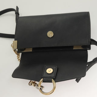 Chloe Faye Shoulder Bag Leather and Suede