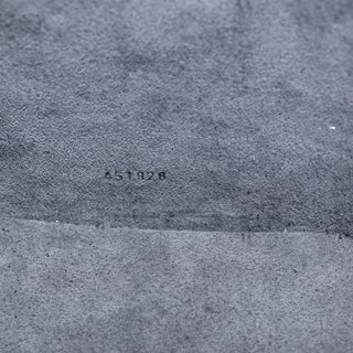 Louis Vuitton Cannes Handbag Epi Leather