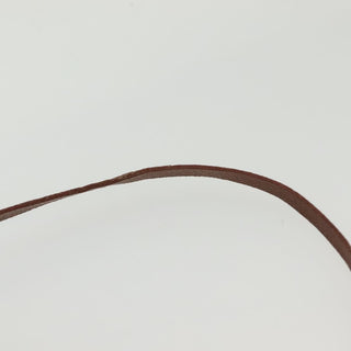 Louis Vuitton Papillon Pochette Monogram Canvas