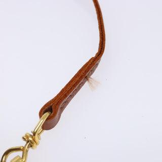 Louis Vuitton Papillon Pochette Monogram Canvas