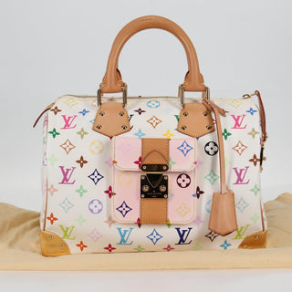 Louis Vuitton Speedy Handbag Monogram Multicolor