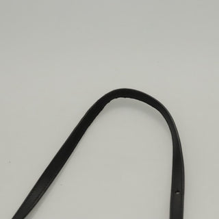 Celine Trio Crossbody Bag Leather