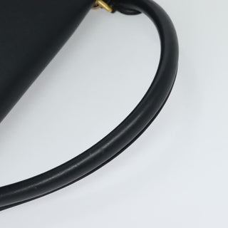 Celine Trapeze Bag Leather with Suede