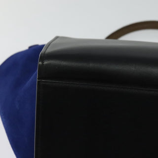 Celine Trapeze Bag Leather