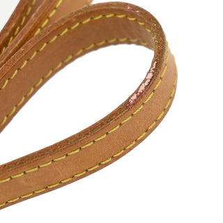 Louis Vuitton Bandouliere Leather