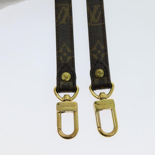 Louis Vuitton Bandouliere Monogram Canvas and Leather