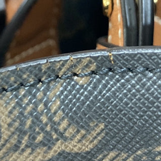 Celine Vertical Cabas Tote Triomphe Coated Canvas