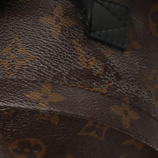 Louis Vuitton Palm Springs Backpack Monogram Canvas