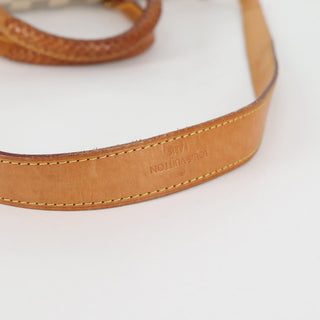 Louis Vuitton Riviera Handbag Damier