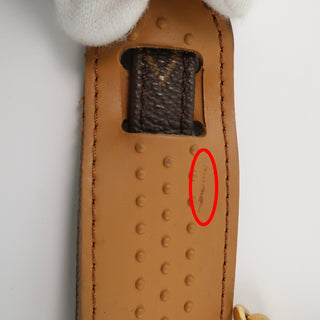 Louis Vuitton Bandouliere Monogram Canvas and Leather