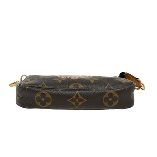 Louis Vuitton Pochette Accessoires Monogram Canvas