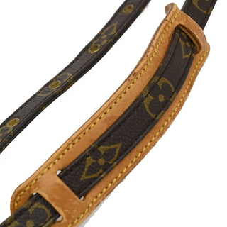 Louis Vuitton Amazone Bag Monogram Canvas