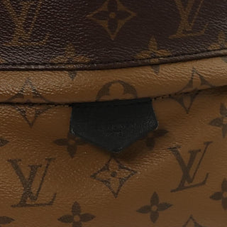 Louis Vuitton Palm Springs Backpack Reverse Monogram Canvas