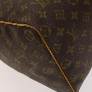 Louis Vuitton Speedy Handbag Monogram Canvas