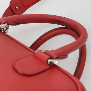 Loewe Amazona Bag Leather