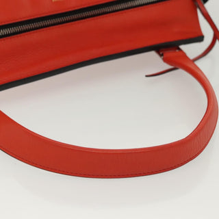 Celine Edge Bag Leather