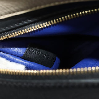 Celine Trapeze Bag Leather with Suede