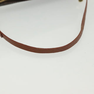 Louis Vuitton Papillon Pochette Monogram Canvas